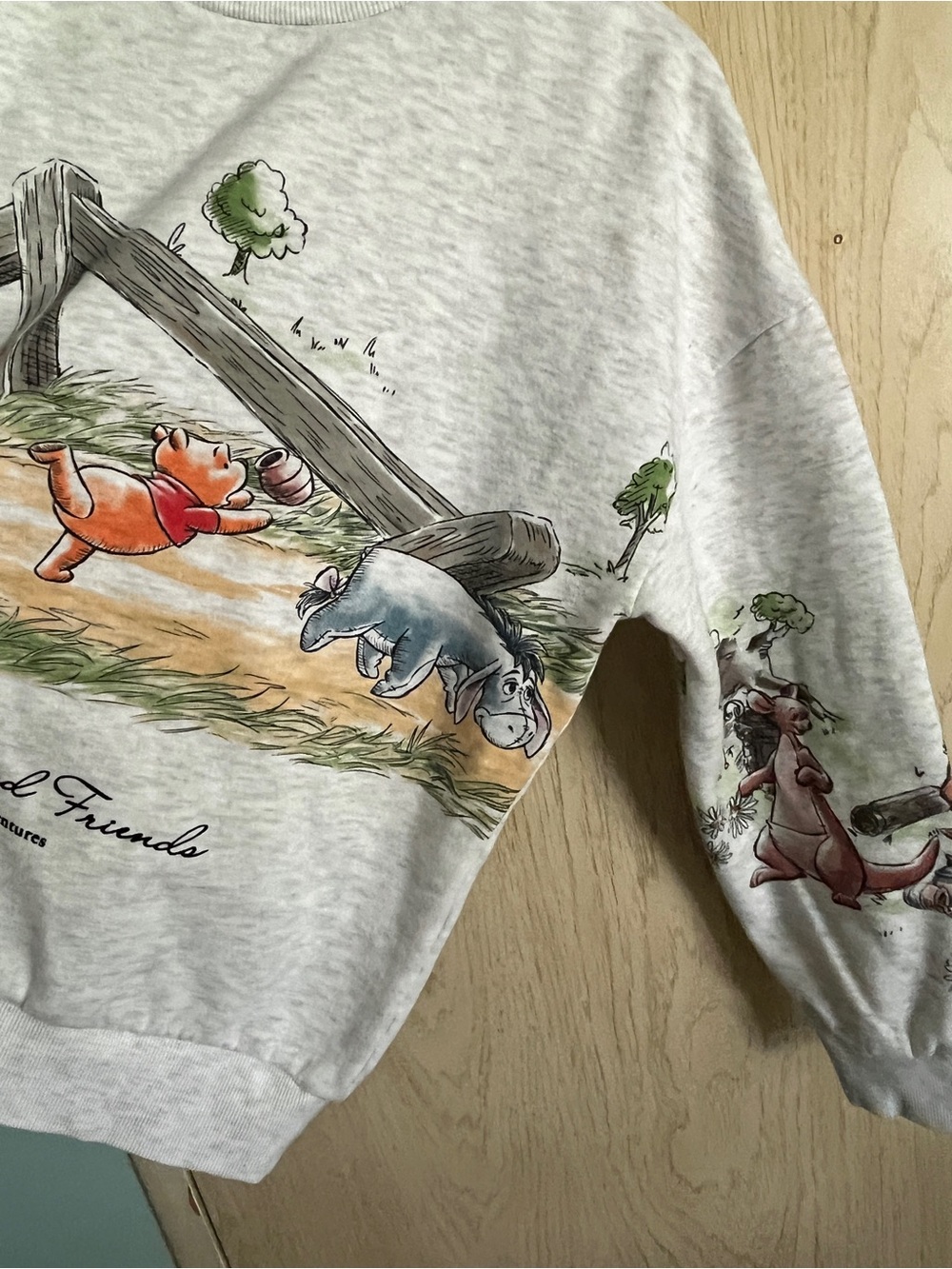 Disney Winnie the Pooh 100 Acre Wood Gang Sweatshirt Sz Small Friends - Picture 5 of 11